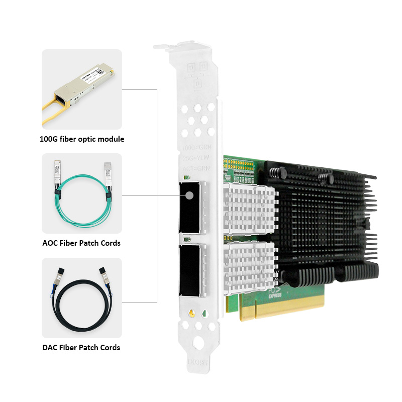 LR-LINK 1014PF 100G Netzwerkka – 100Gbe Qsfp28 Network Card Bewertung und Preis
